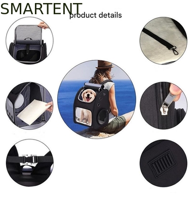 34*27*42,5CM Outdoor erweiterbare Haustier-Reisetasche ungiftig süße Haustier-Zubehör für Unisex in Grau Eigenschaften: Langlebig, waschbar fournisseur
