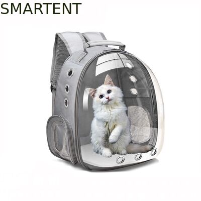 Unisex Durable Washable Non toxic Cute Pet Supplies Featuring Playful Fun Style Hiking Backpack fournisseur