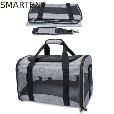 Large Cute Pet Supplies Unisex Indoor Outdoor Gear for Active Pets Featuring Comfortable Collars Leashes and Carriers fournisseur