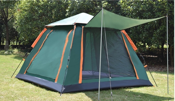 Außen-Campingzelte Sonnendichte und belüftete automatische Glasfaserrahmen 210D Polyester 240*240*140cm Grünes Modernes Design fournisseur